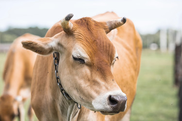 Similar image 21902257