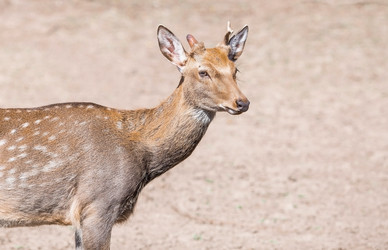 Similar image 21902258