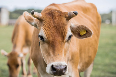 Similar image 21902259