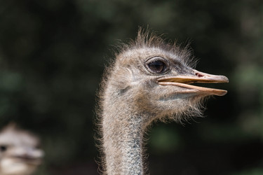 Similar image 21902260