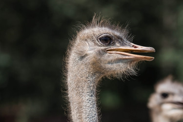 Similar image 21902262