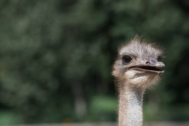 Similar image 21902263