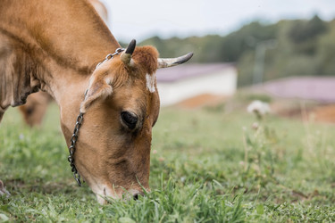 Similar image 21902264