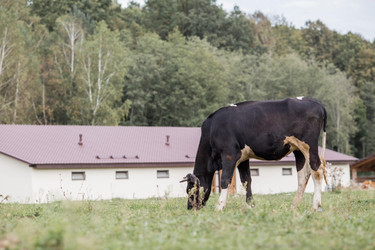 Similar image 21902265