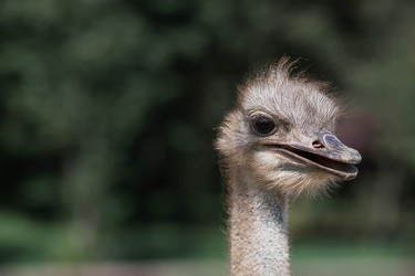 Similar image 21902266