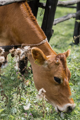 Similar image 21902267