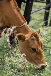 Similar image 21902269