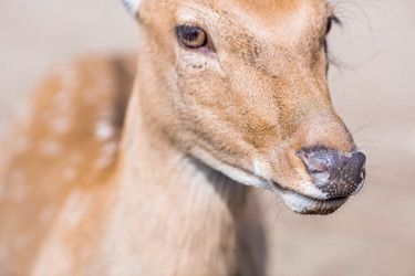 Similar image 21902270