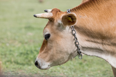 Similar image 21902271