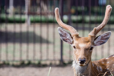 Similar image 21902272