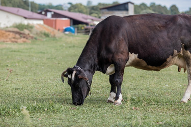 Similar image 21902273