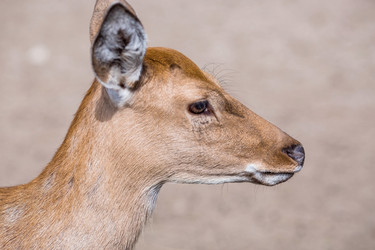 Similar image 21902274