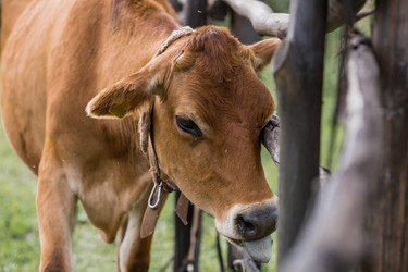 Similar image 21902275