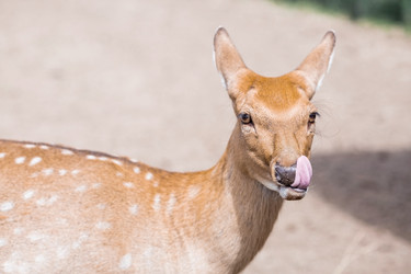 Similar image 21902276