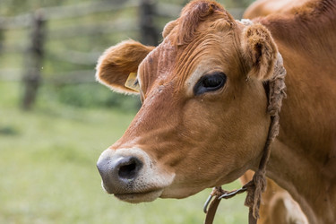 Similar image 21902277