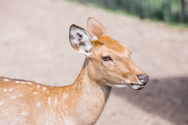 Similar image 21902278