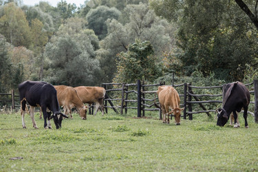 Similar image 21902279