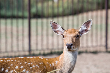 Similar image 21902280