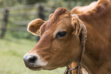 Similar image 21902281