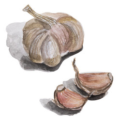 Similar image 21895260