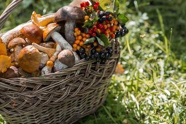 Similar image 21902813