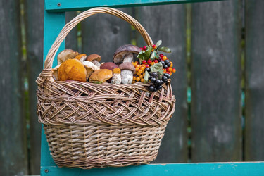 Similar image 21902814