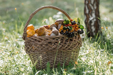 Similar image 21902815