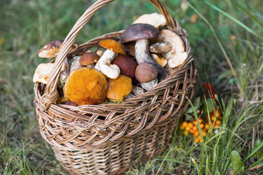 Similar image 21902816