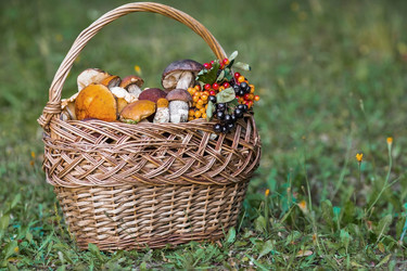 Similar image 21902817