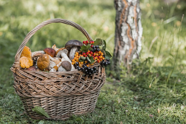 Similar image 21902818