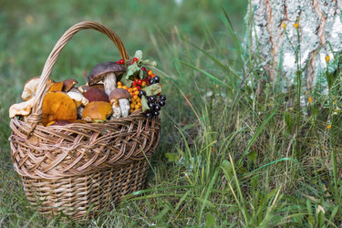 Similar image 21902282