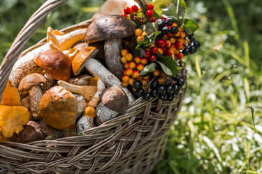 Similar image 21902283