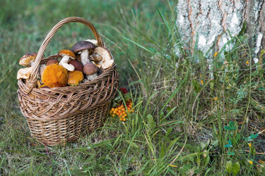 Similar image 21902284