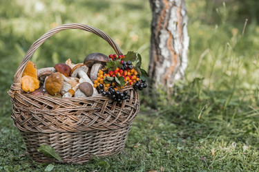 Similar image 21902285