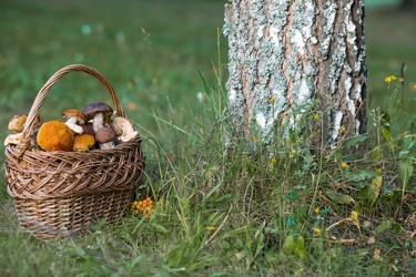 Similar image 21902286