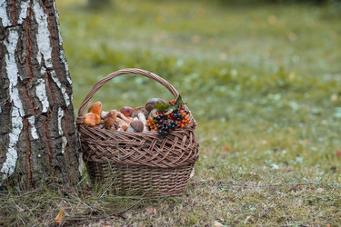 Similar image 21902287