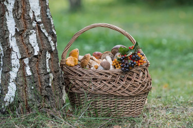 Similar image 21902289