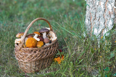 Similar image 21902290