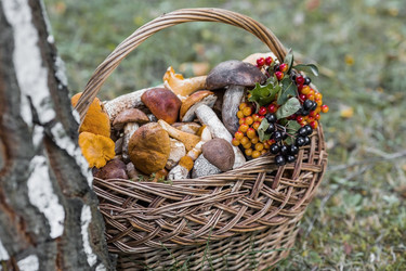 Similar image 21902291