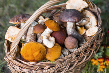 Similar image 21902292