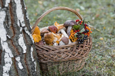 Similar image 21902293