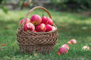 Similar image 21902294