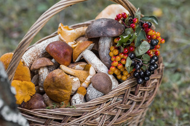 Similar image 21902295