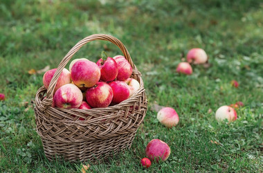 Similar image 21902296