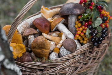 Similar image 21902297