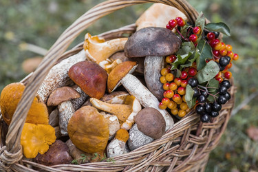 Similar image 21902299