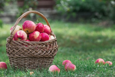 Similar image 21902300