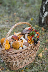 Similar image 21902301