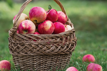 Similar image 21902302