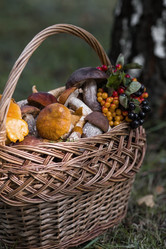 Similar image 21902303